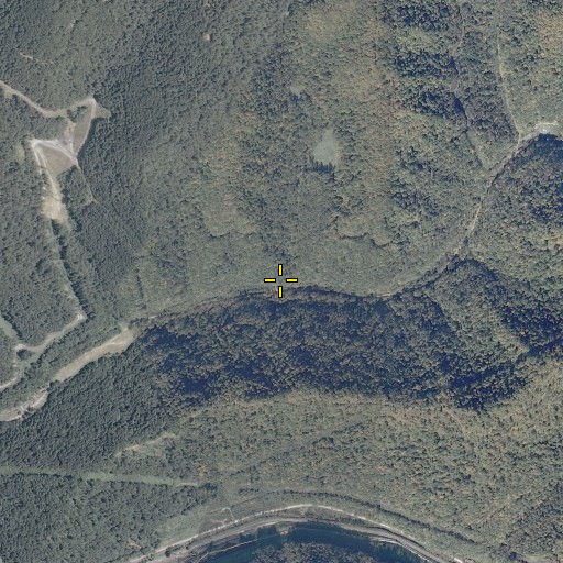 Aerial/Satellite Image of Laurel Branch, WV