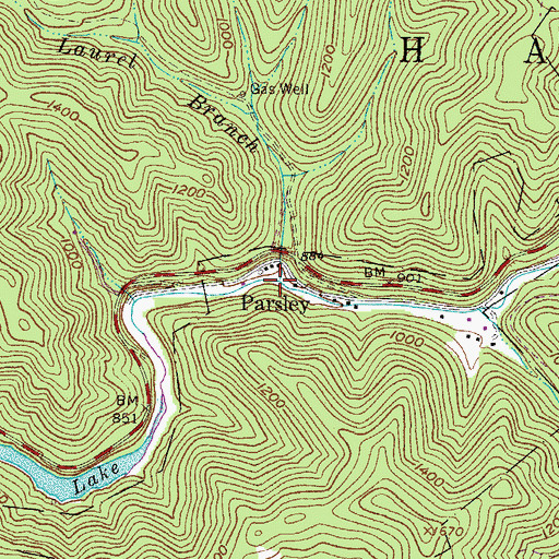 Topographic Map of Laurel Branch, WV