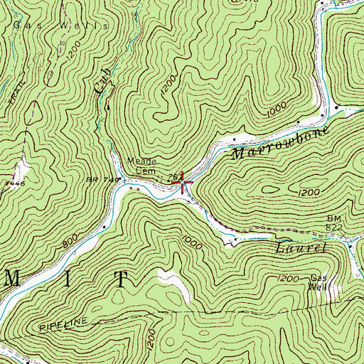 Topographic Map of Laurel Branch, WV