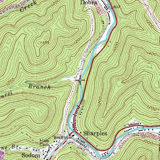 Topographic Map of Laurel Branch, WV