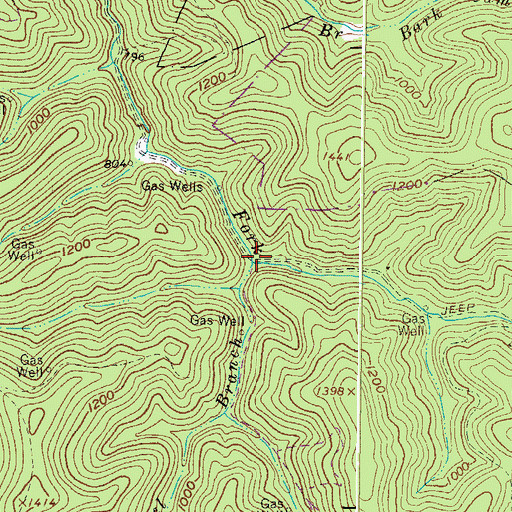 Topographic Map of Laurel Branch, WV