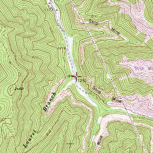 Topographic Map of Laurel Branch, WV