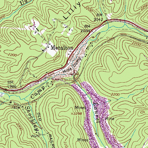 Topographic Map of Laurel Branch, WV