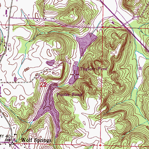 Topographic Map of Taylors Pond, AL