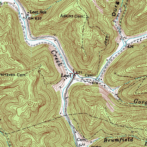 Topographic Map of Laurel Creek, WV