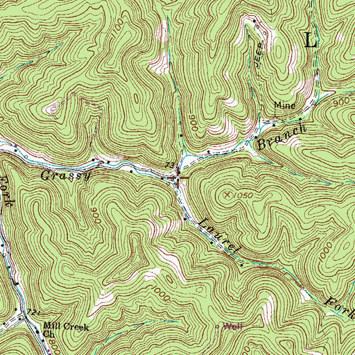Topographic Map of Laurel Fork, WV