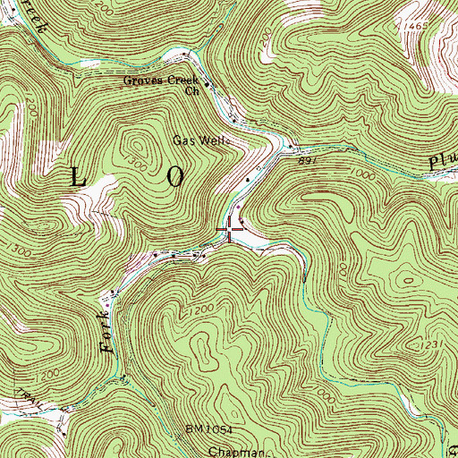 Topographic Map of Laurel Fork, WV