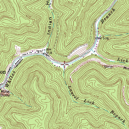 Topographic Map of Laurel Lick Branch, WV