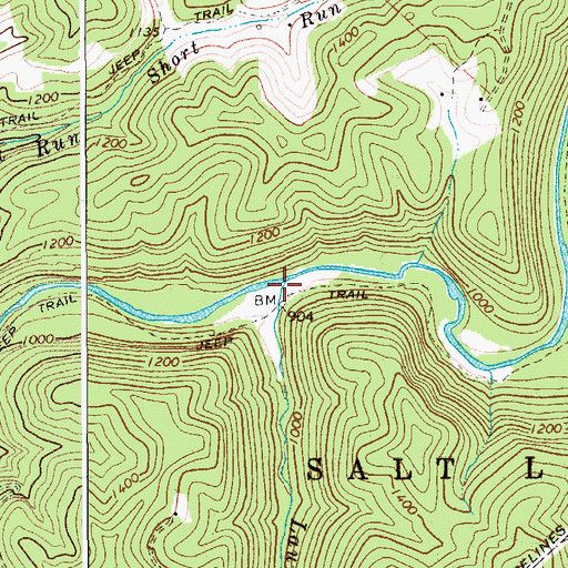 Topographic Map of Laurel Run, WV