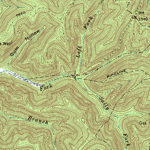 Topographic Map of Left Fork Ballard Fork, WV