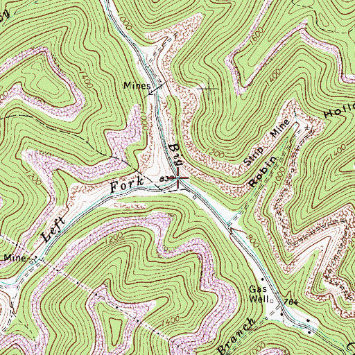 Topographic Map of Left Fork Big Creek, WV