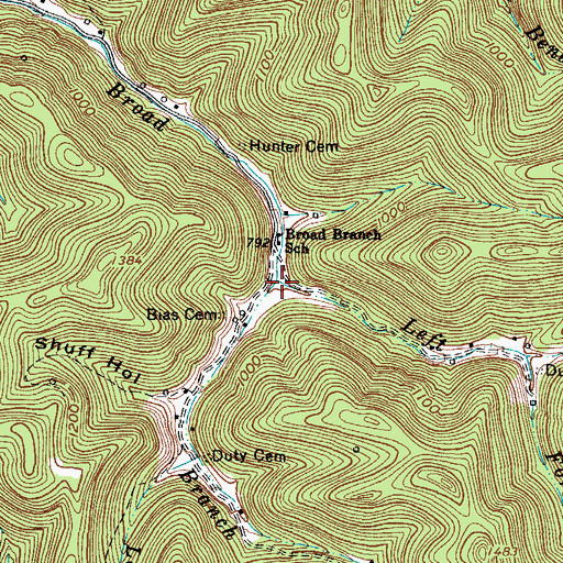 Topographic Map of Left Fork Broad Branch, WV