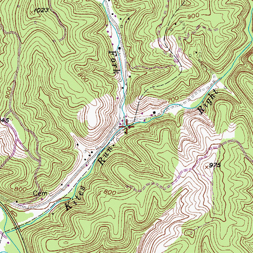 Topographic Map of Left Fork Kites Run, WV