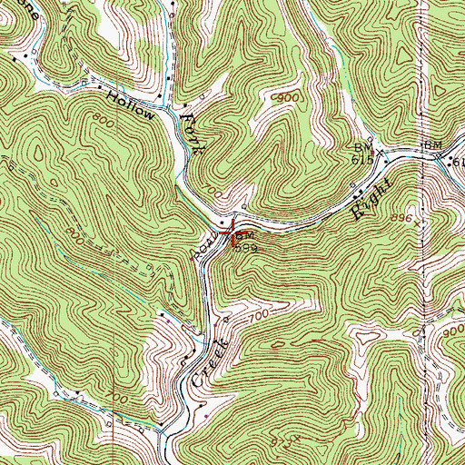 Topographic Map of Left Fork Lower Creek, WV
