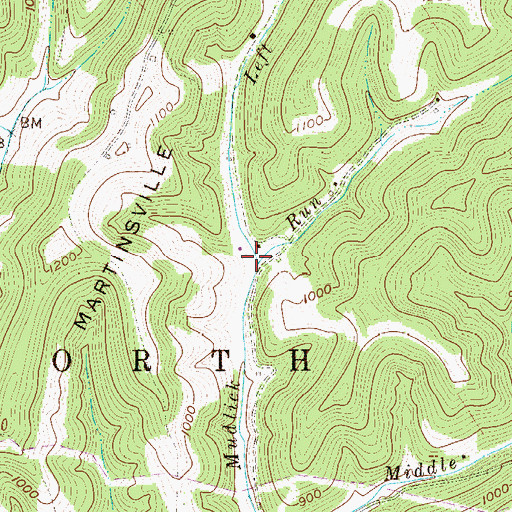 Topographic Map of Left Fork Mudlick Run, WV
