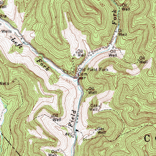 Topographic Map of Left Fork Old Field Fork, WV
