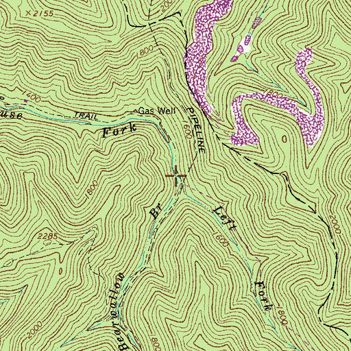 Topographic Map of Left Fork Rockhouse Fork, WV