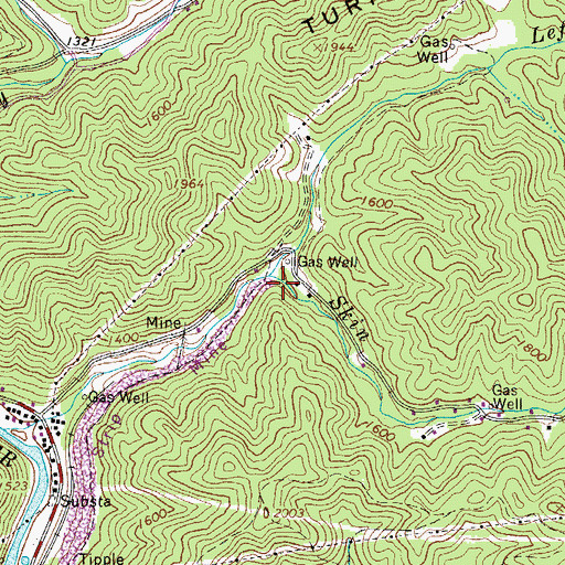 Topographic Map of Left Fork Skin Fork, WV
