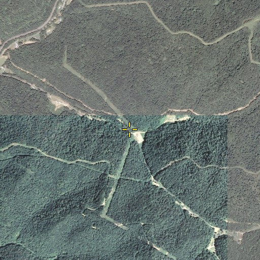 Aerial/Satellite Image of Left Fork Spring Fork, WV
