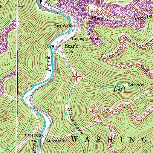 Topographic Map of Left Fork Sycamore Fork, WV
