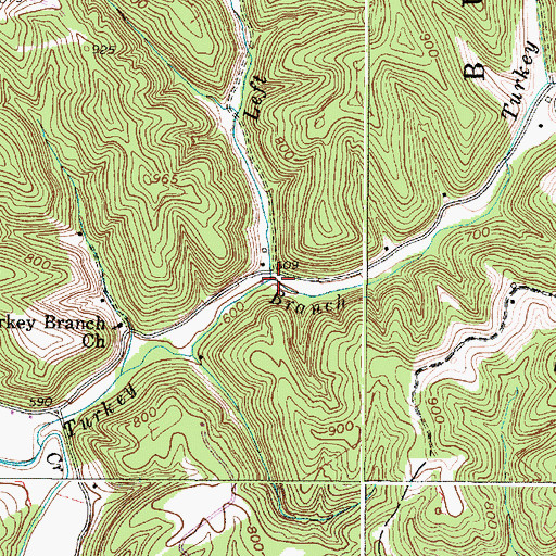 Topographic Map of Left Fork Turkey Branch, WV