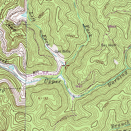 Topographic Map of Left Fork Upper Burning Creek, WV