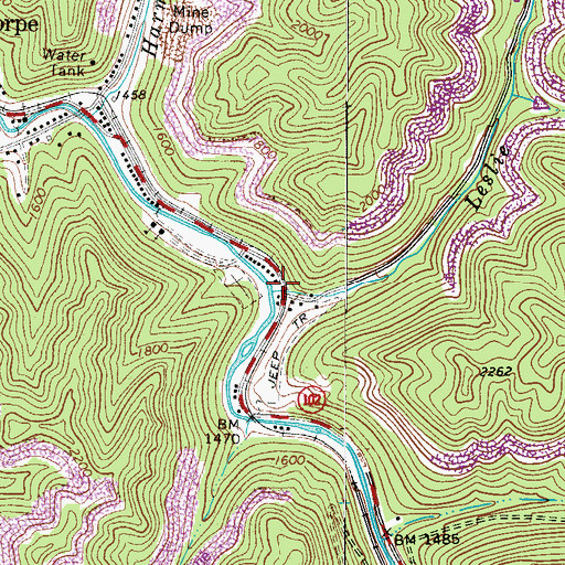 Topographic Map of Leslie Branch, WV
