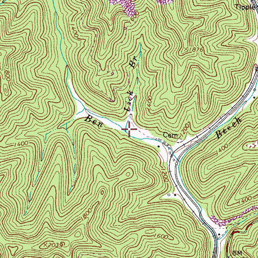 Topographic Map of Lick Branch, WV