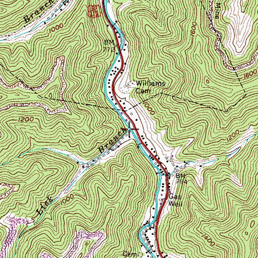 Topographic Map of Lick Branch, WV