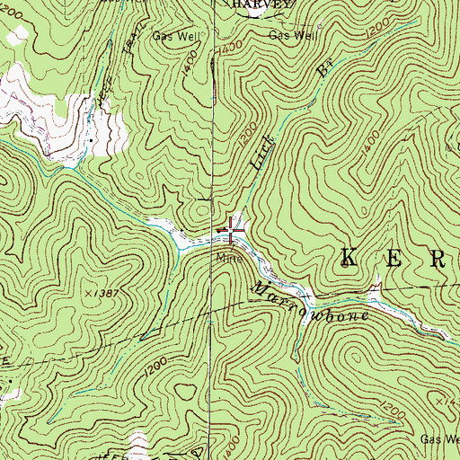 Topographic Map of Lick Branch, WV