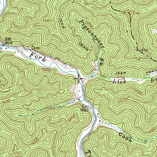 Topographic Map of Lick Branch, WV