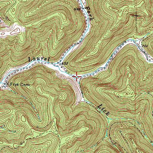 Topographic Map of Lick Branch, WV