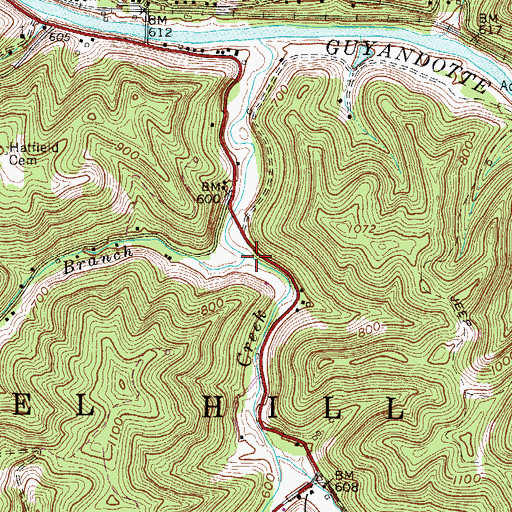 Topographic Map of Lick Branch, WV