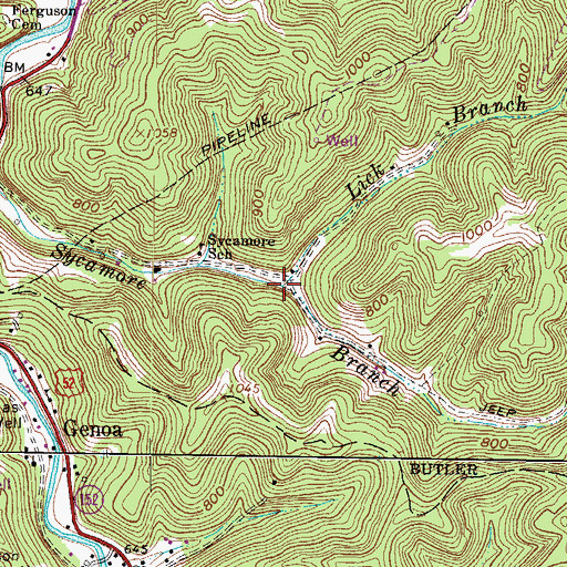 Topographic Map of Lick Branch, WV