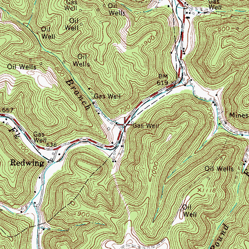 Topographic Map of Lick Branch, WV