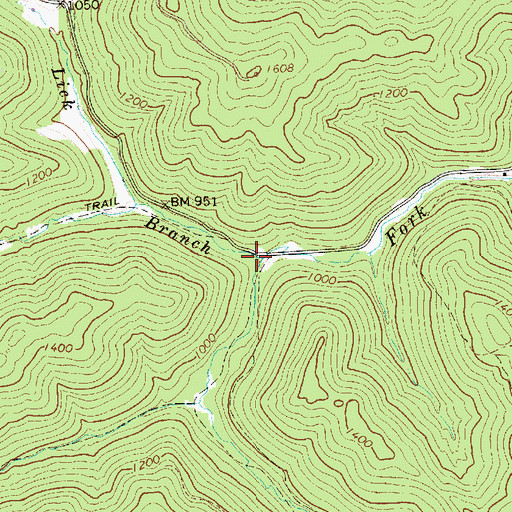Topographic Map of Lick Branch, WV