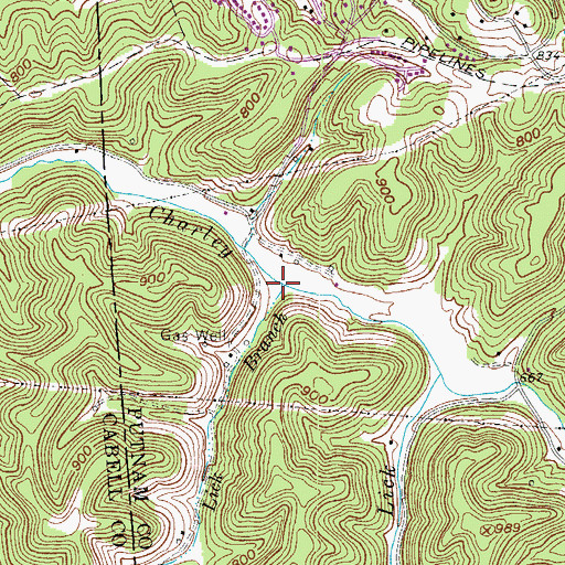Topographic Map of Lick Branch, WV