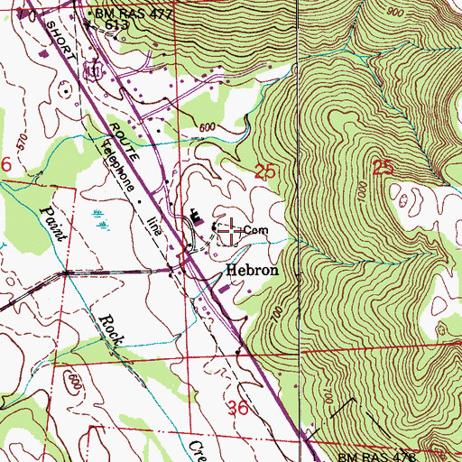 Topographic Map of Walker Cemetery, AL