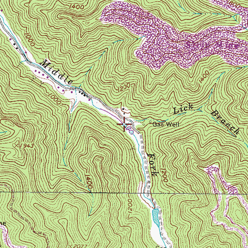 Topographic Map of Lick Branch, WV
