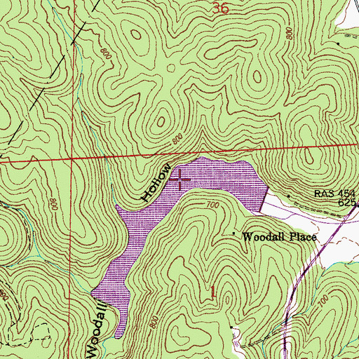 Topographic Map of Woodland Lake, AL