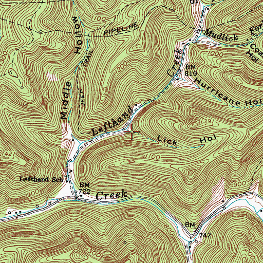 Topographic Map of Lick Hollow, WV