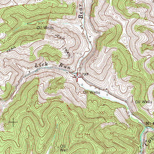 Topographic Map of Lick Run, WV
