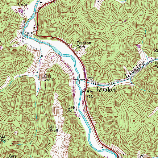 Topographic Map of Licklog Branch, WV