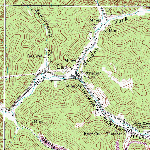Topographic Map of Lico, WV