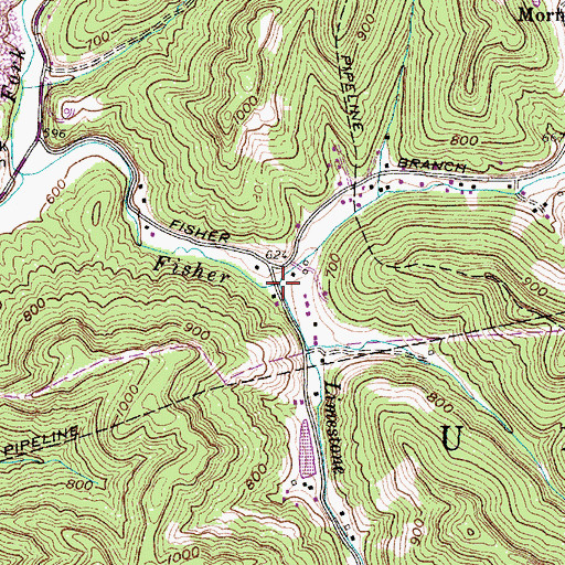 Topographic Map of Limestone Branch, WV