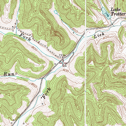 Topographic Map of Lion Fork, WV