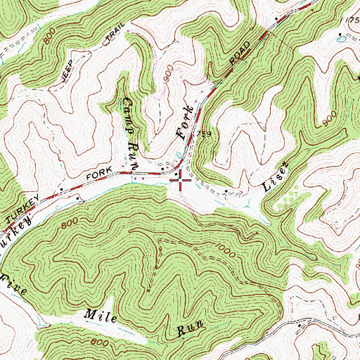 Topographic Map of Lisez Run, WV