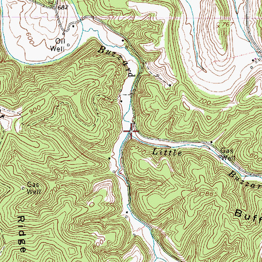 Topographic Map of Little Buzzard Creek, WV