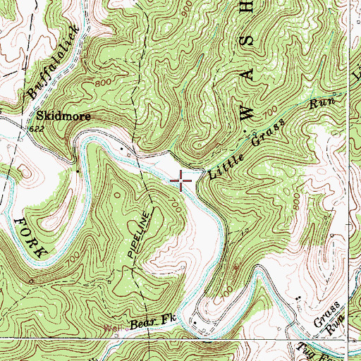 Topographic Map of Little Grass Run, WV