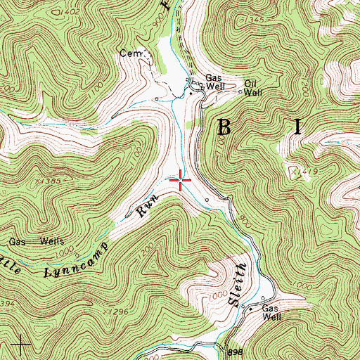 Topographic Map of Little Lynncamp Run, WV